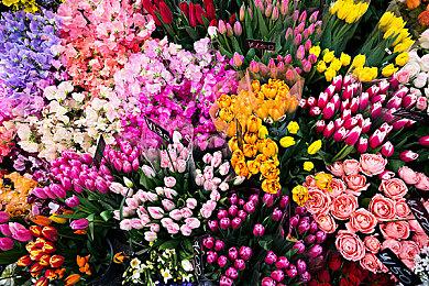 《寂静岭2：重制版》海报现身游戏零售店 已获评级